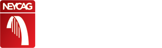 North East Young Chartered Accountants' Group